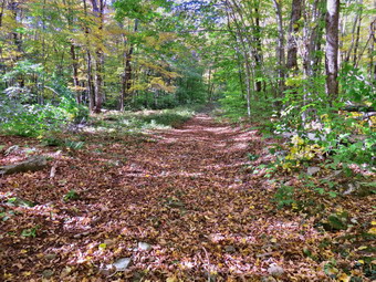 picture taken during a hike