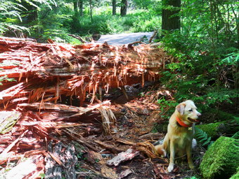 picture taken during a hike