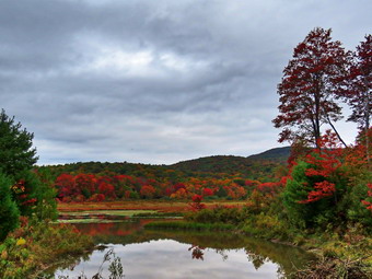 picture taken during a hike