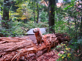 picture taken during a hike