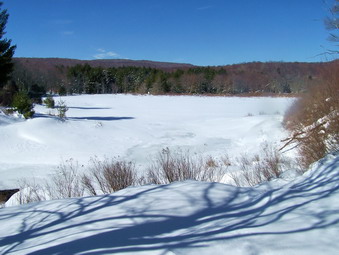 picture taken during a hike