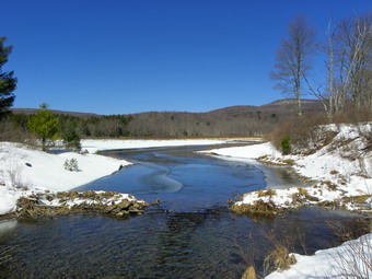 picture taken during a hike