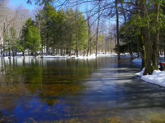 picture taken during a hike