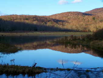 picture taken during a hike