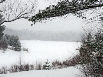 picture taken during a hike