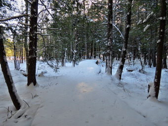 picture taken during a hike