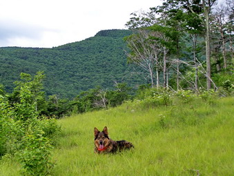 picture taken during a hike