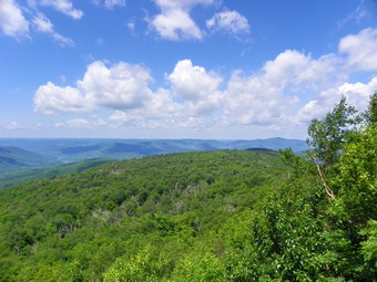 picture taken during a hike