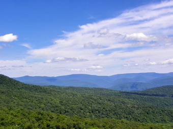 picture taken during a hike