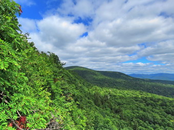 picture taken during a hike