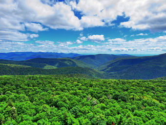 picture taken during a hike