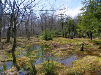 picture taken during a hike