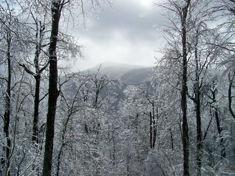 picture taken during a hike