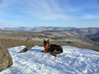 picture taken during a hike