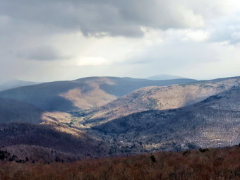 picture taken during a hike