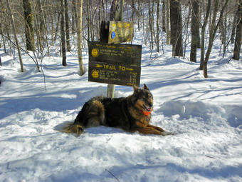 picture taken during a hike