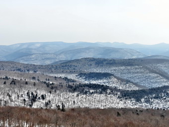 picture taken during a hike