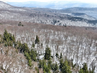 picture taken during a hike