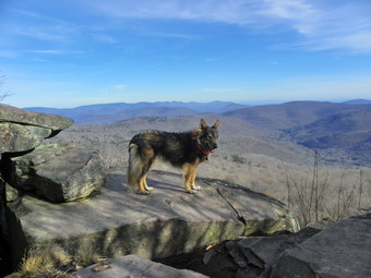 picture taken during a hike