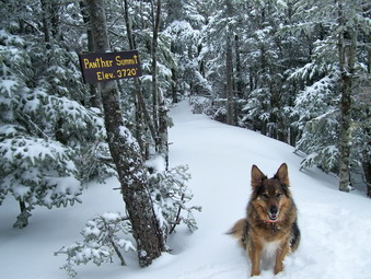 picture taken during a hike