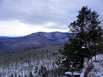 picture taken during a hike