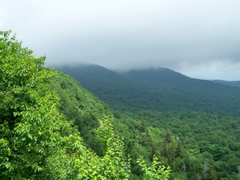 picture taken during a hike