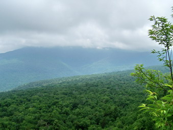 picture taken during a hike