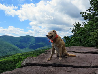 picture taken during a hike