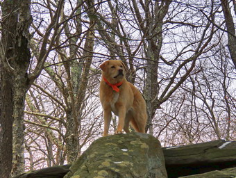 picture taken during a hike