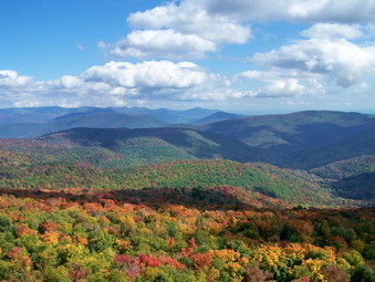 picture taken during a hike