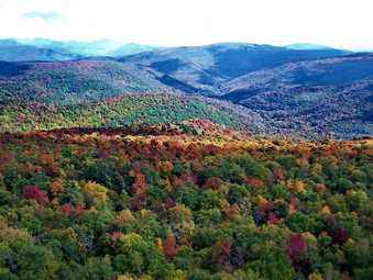 picture taken during a hike