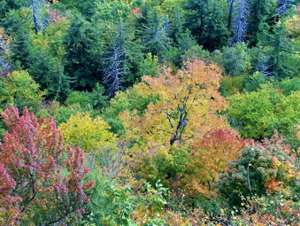 picture taken during a hike