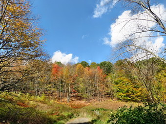 picture taken during a hike