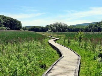 picture taken during a hike