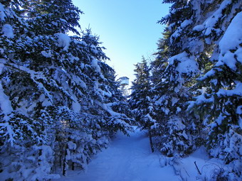 picture taken during a hike