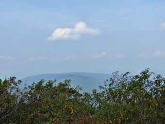 picture taken during a hike