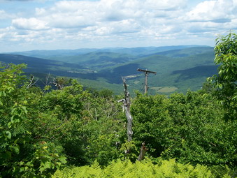 picture taken during a hike