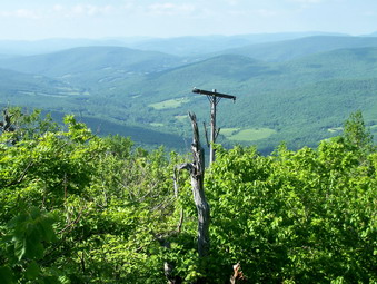 picture taken during a hike