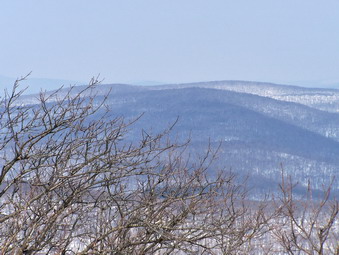 picture taken during a hike