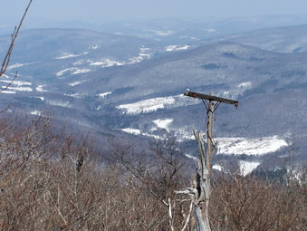 picture taken during a hike