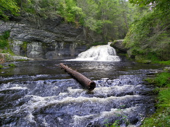 picture taken during a hike