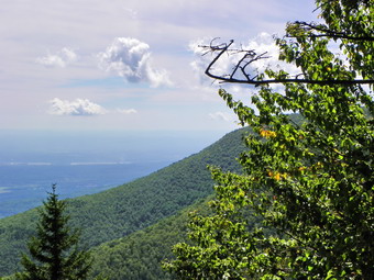 picture taken during a hike