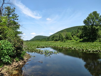 picture taken during a hike