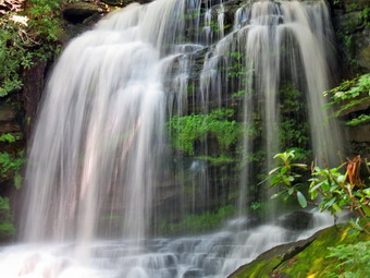 picture taken during a hike