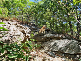 picture taken during a hike