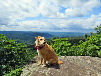 picture taken during a hike