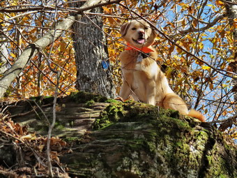 picture taken during a hike