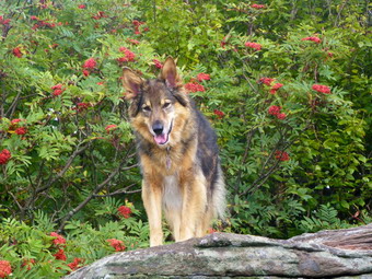 picture taken during a hike