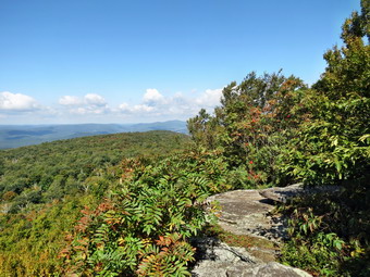 picture taken during a hike