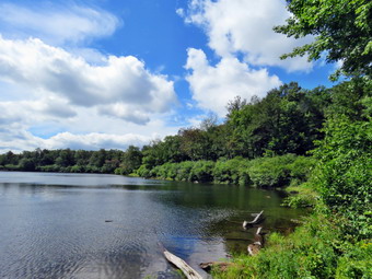 picture taken during a hike